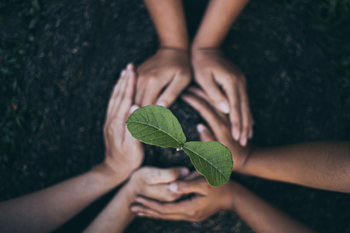 How Does Your Garden Grow? Image